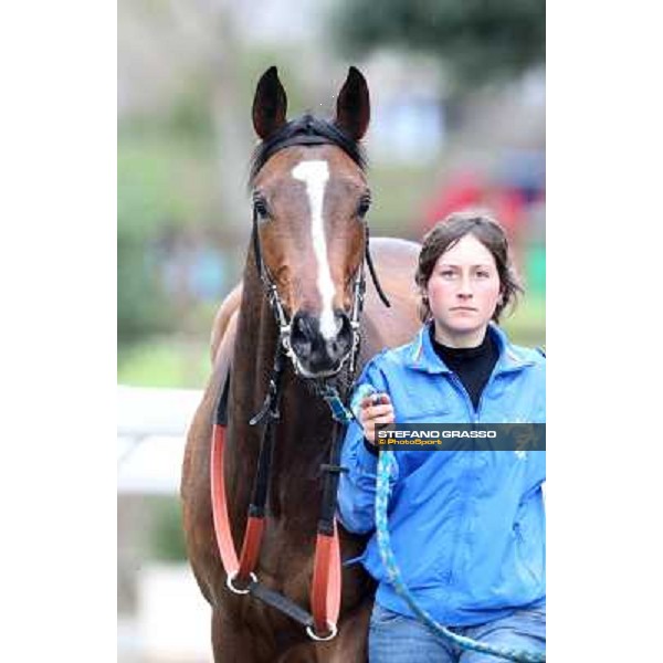 Gabriele Bietolini and Shirley\'s Kitten win the Premio Ceprano Rome, Capannelle racecourse, 10th march 2013 ph.Stefano Grasso