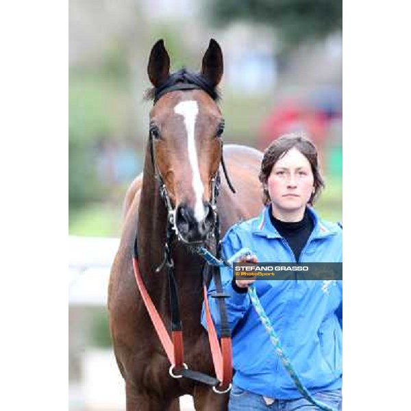 Gabriele Bietolini and Shirley\'s Kitten win the Premio Ceprano Rome, Capannelle racecourse, 10th march 2013 ph.Stefano Grasso