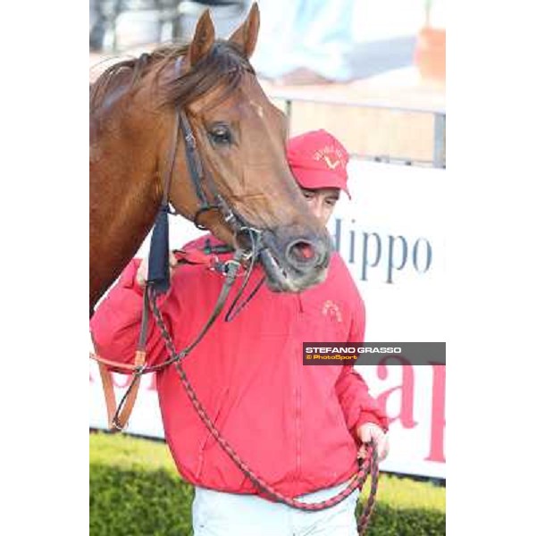 Salvatore Sulas and Teixidor win the Premio Sirlad Rome, Capannelle racecourse, 10th march 2013 ph.Stefano Grasso