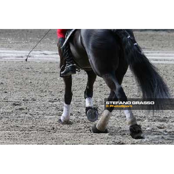 I festeggiamenti in onore del Generale Piero D\'Inzeo per i suoi 90 anni presso la Società Ippica Romana. Roma, 10 marzo 2013 ph.Stefano Grasso