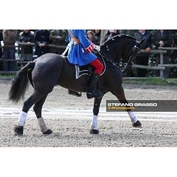 I festeggiamenti in onore del Generale Piero D\'Inzeo per i suoi 90 anni presso la Società Ippica Romana. Roma, 10 marzo 2013 ph.Stefano Grasso