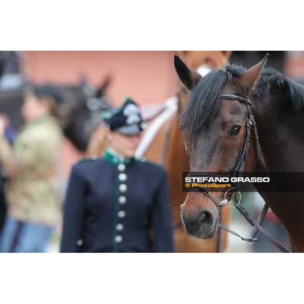 I festeggiamenti in onore del Generale Piero D\'Inzeo per i suoi 90 anni presso la Società Ippica Romana. Roma, 10 marzo 2013 ph.Stefano Grasso