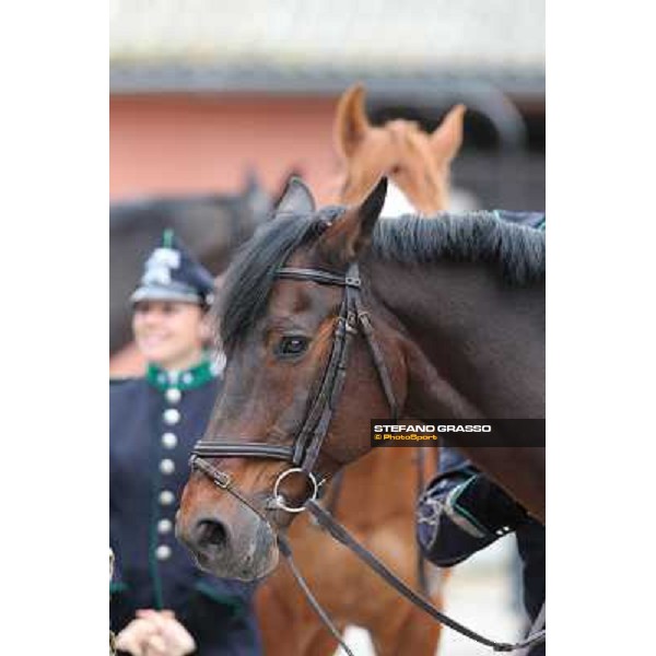 I festeggiamenti in onore del Generale Piero D\'Inzeo per i suoi 90 anni presso la Società Ippica Romana. Roma, 10 marzo 2013 ph.Stefano Grasso