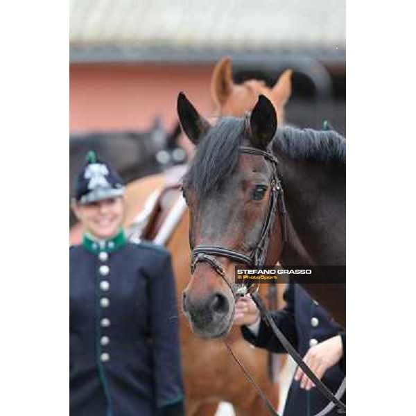 I festeggiamenti in onore del Generale Piero D\'Inzeo per i suoi 90 anni presso la Società Ippica Romana. Roma, 10 marzo 2013 ph.Stefano Grasso