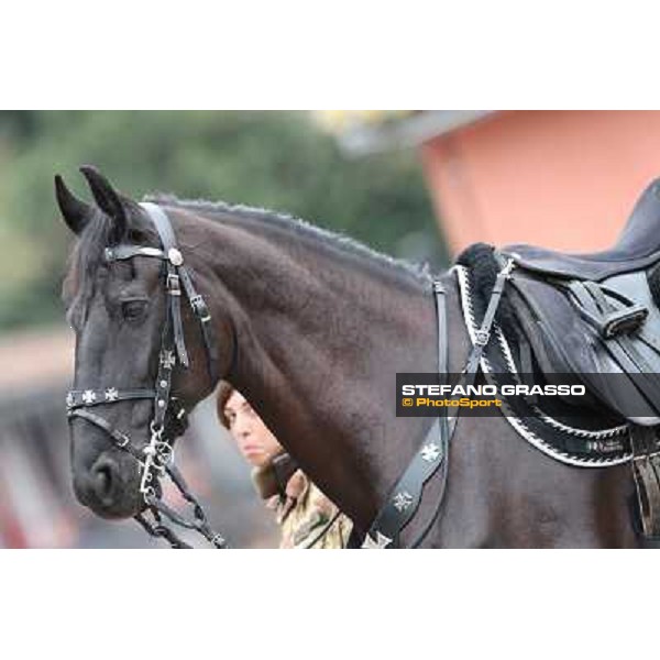 I festeggiamenti in onore del Generale Piero D\'Inzeo per i suoi 90 anni presso la Società Ippica Romana. Roma, 10 marzo 2013 ph.Stefano Grasso