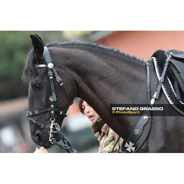 I festeggiamenti in onore del Generale Piero D\'Inzeo per i suoi 90 anni presso la Società Ippica Romana. Roma, 10 marzo 2013 ph.Stefano Grasso