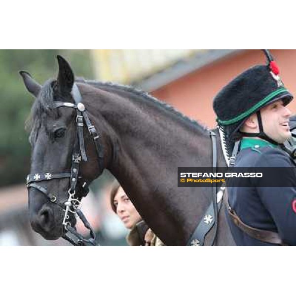 I festeggiamenti in onore del Generale Piero D\'Inzeo per i suoi 90 anni presso la Società Ippica Romana. Roma, 10 marzo 2013 ph.Stefano Grasso