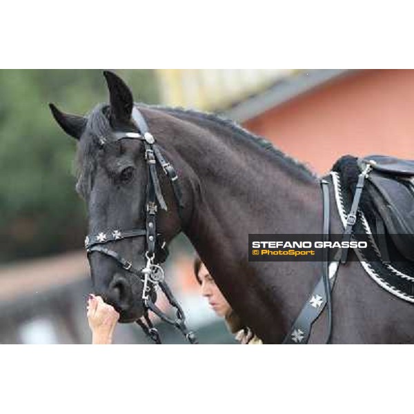 I festeggiamenti in onore del Generale Piero D\'Inzeo per i suoi 90 anni presso la Società Ippica Romana. Roma, 10 marzo 2013 ph.Stefano Grasso