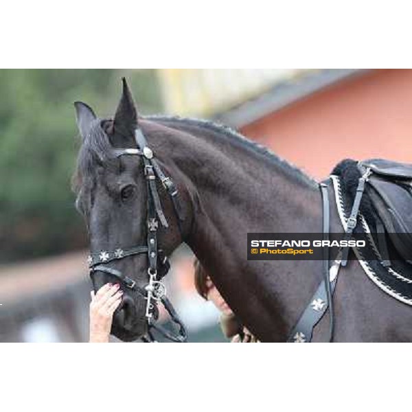 I festeggiamenti in onore del Generale Piero D\'Inzeo per i suoi 90 anni presso la Società Ippica Romana. Roma, 10 marzo 2013 ph.Stefano Grasso