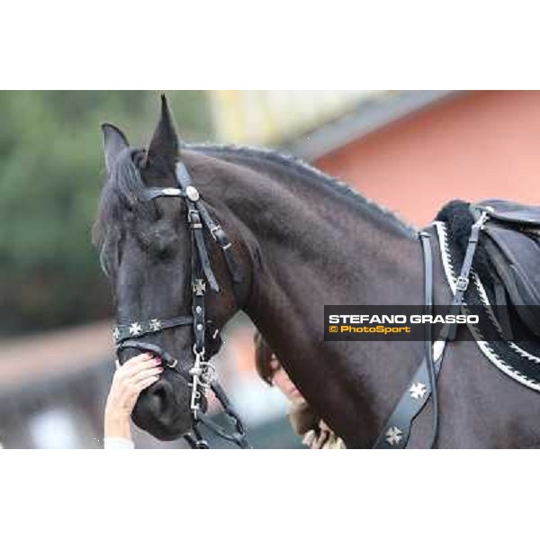 I festeggiamenti in onore del Generale Piero D\'Inzeo per i suoi 90 anni presso la Società Ippica Romana. Roma, 10 marzo 2013 ph.Stefano Grasso
