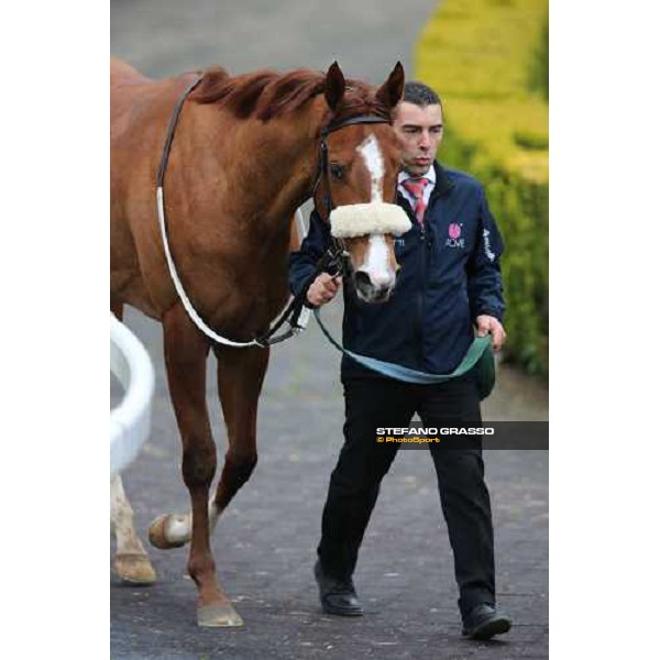 Charity Line and Jonathan Bacci after winning the Premio Nannoccia Roma - Capannelle racecourse, 17th march 2013 ph.Stefano Grasso