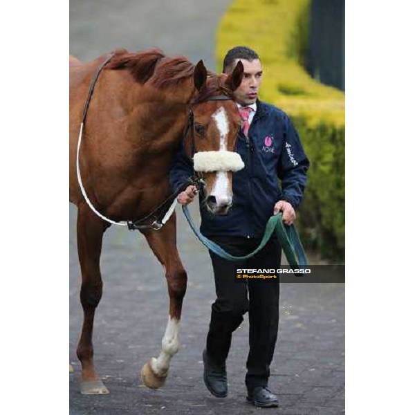Charity Line and Jonathan Bacci after winning the Premio Nannoccia Roma - Capannelle racecourse, 17th march 2013 ph.Stefano Grasso
