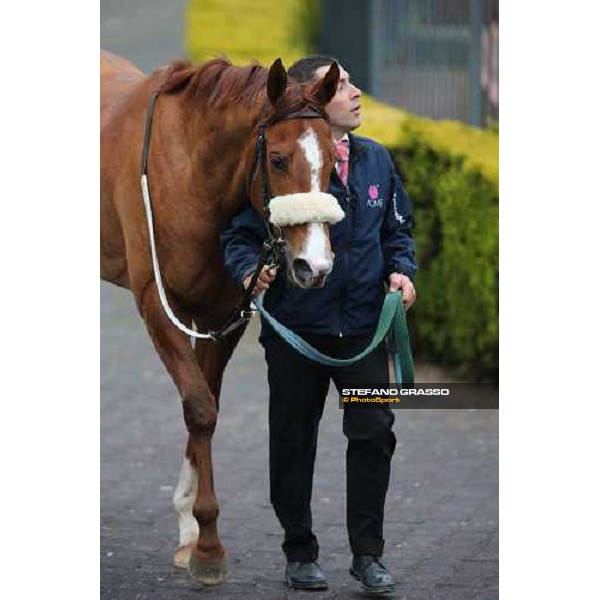 Charity Line and Jonathan Bacci after winning the Premio Nannoccia Roma - Capannelle racecourse, 17th march 2013 ph.Stefano Grasso