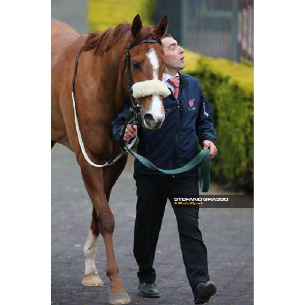 Charity Line and Jonathan Bacci after winning the Premio Nannoccia Roma - Capannelle racecourse, 17th march 2013 ph.Stefano Grasso