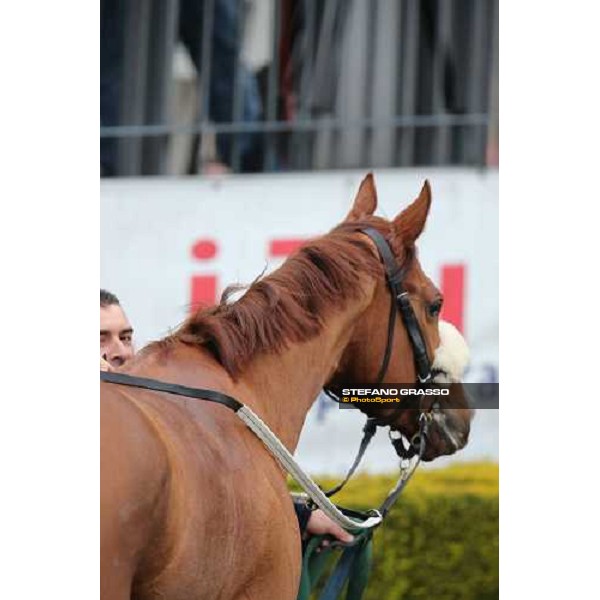 Charity Line and Jonathan Bacci after winning the Premio Nannoccia Roma - Capannelle racecourse, 17th march 2013 ph.Stefano Grasso