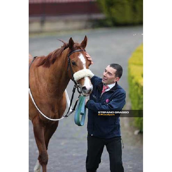 Charity Line and Jonathan Bacci after winning the Premio Nannoccia Roma - Capannelle racecourse, 17th march 2013 ph.Stefano Grasso
