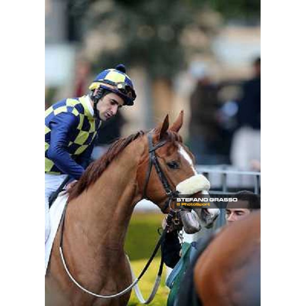 Charity Line and Fabio Branca before winning the Premio Nannoccia Roma - Capannelle racecourse, 17th march 2013 ph.Stefano Grasso