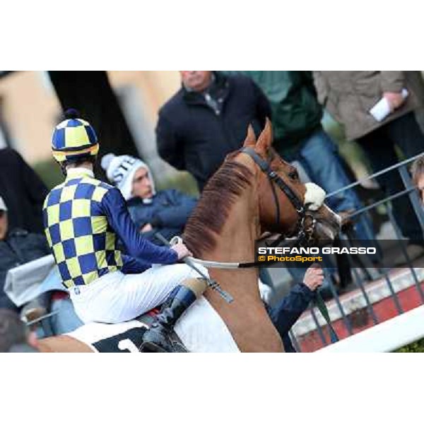 Charity Line and Fabio Branca before winning the Premio Nannoccia Roma - Capannelle racecourse, 17th march 2013 ph.Stefano Grasso