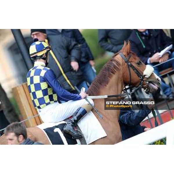 Charity Line and Fabio Branca before winning the Premio Nannoccia Roma - Capannelle racecourse, 17th march 2013 ph.Stefano Grasso