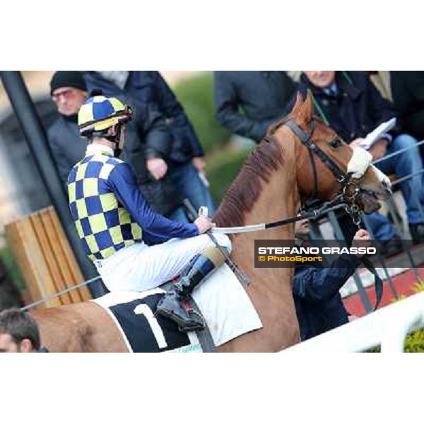 Charity Line and Fabio Branca before winning the Premio Nannoccia Roma - Capannelle racecourse, 17th march 2013 ph.Stefano Grasso
