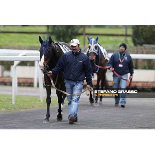 Malagenia and Icebreaking Roma - Capannelle racecourse, 17th march 2013 ph.Stefano Grasso