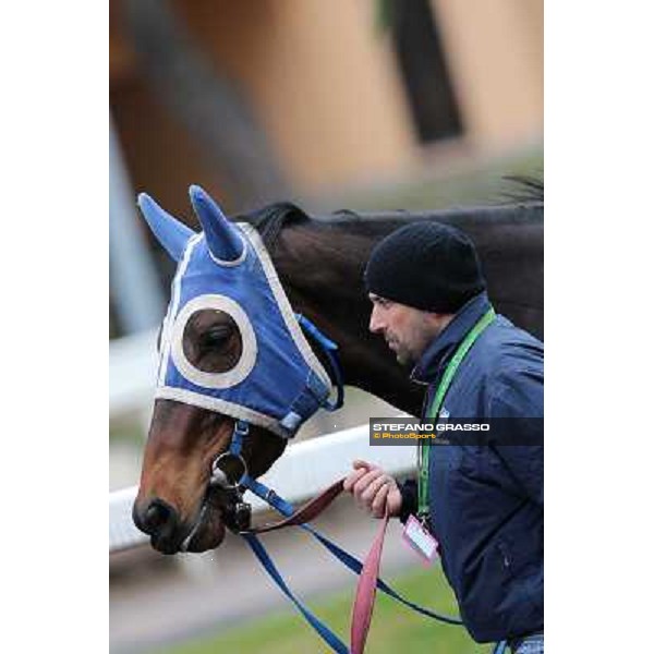 Icebreaking Roma - Capannelle racecourse, 17th march 2013 ph.Stefano Grasso