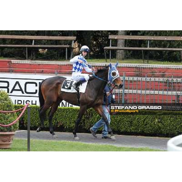 Andrea Mezzatesta and Icebreaking Roma - Capannelle racecourse, 17th march 2013 ph.Stefano Grasso