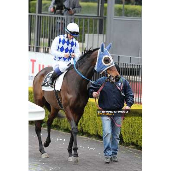 Andrea Mezzatesta and Icebreaking Roma - Capannelle racecourse, 17th march 2013 ph.Stefano Grasso