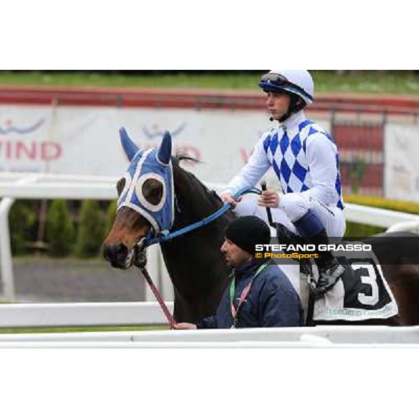 Andrea Mezzatesta and Icebreaking Roma - Capannelle racecourse, 17th march 2013 ph.Stefano Grasso
