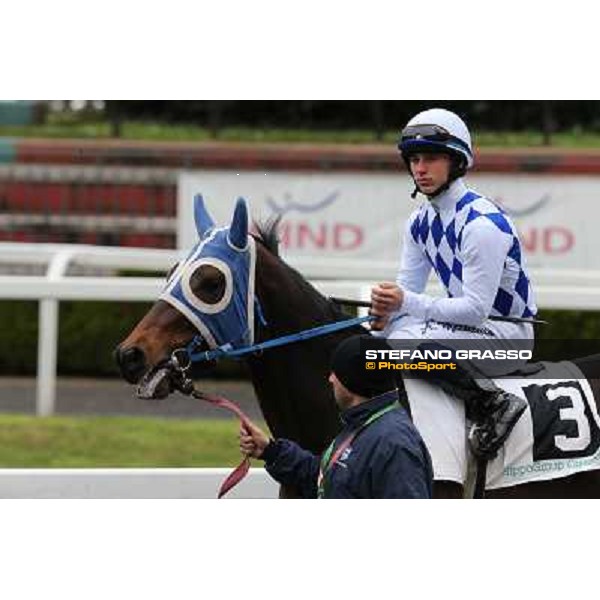 Andrea Mezzatesta and Icebreaking Roma - Capannelle racecourse, 17th march 2013 ph.Stefano Grasso