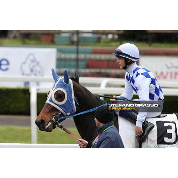 Andrea Mezzatesta and Icebreaking Roma - Capannelle racecourse, 17th march 2013 ph.Stefano Grasso