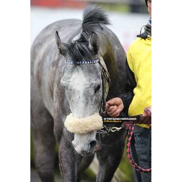 Chiara Wells after winning the Premio Don II Roma - Capannelle racecourse, 17th march 2013 ph.Stefano Grasso
