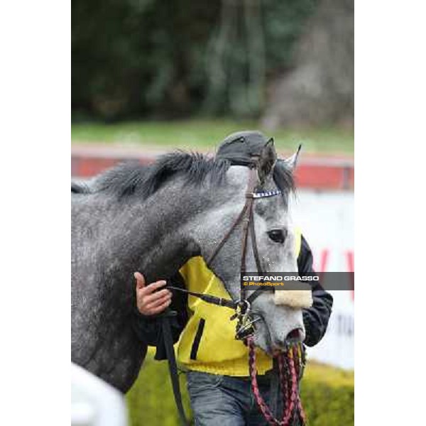 Chiara Wells after winning the Premio Don II Roma - Capannelle racecourse, 17th march 2013 ph.Stefano Grasso