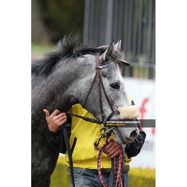 Chiara Wells after winning the Premio Don II Roma - Capannelle racecourse, 17th march 2013 ph.Stefano Grasso
