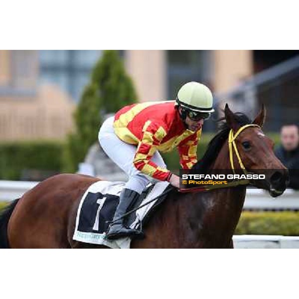 Luca Maniezzi on Clorofilla wins the Premio Sinni Roma - Capannelle racecourse, 17th march 2013 ph.Stefano Grasso