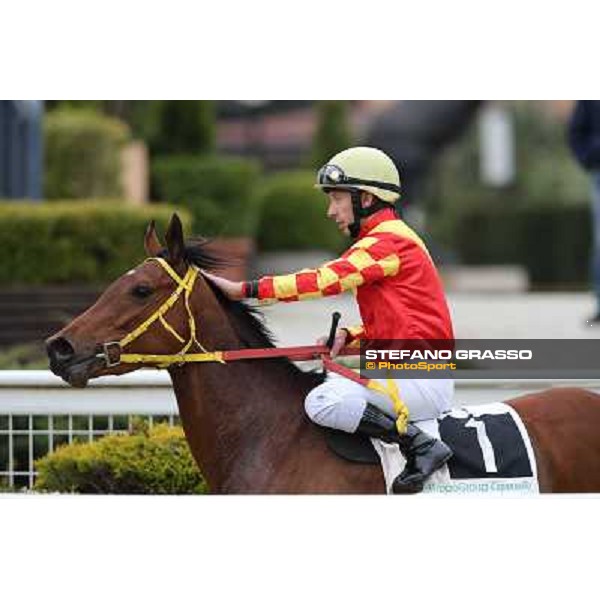 Luca Maniezzi on Clorofilla wins the Premio Sinni Roma - Capannelle racecourse, 17th march 2013 ph.Stefano Grasso