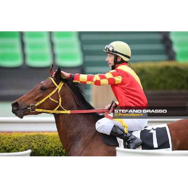 Luca Maniezzi on Clorofilla wins the Premio Sinni Roma - Capannelle racecourse, 17th march 2013 ph.Stefano Grasso