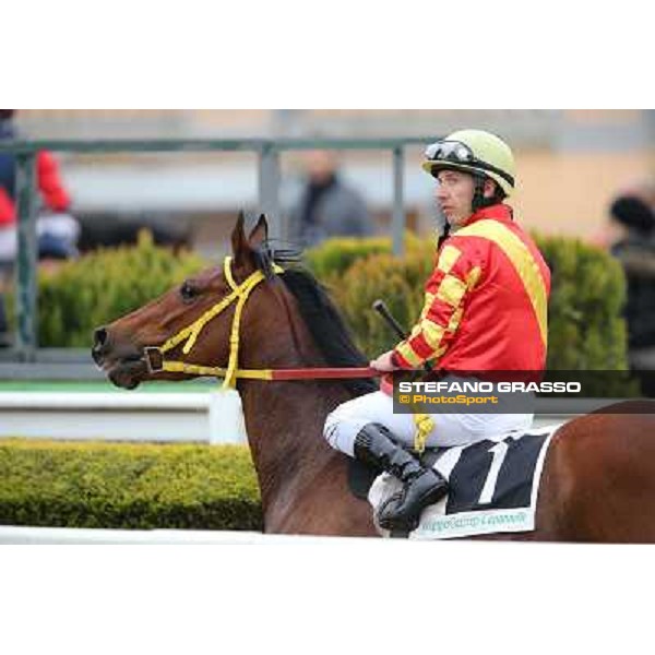 Luca Maniezzi on Clorofilla wins the Premio Sinni Roma - Capannelle racecourse, 17th march 2013 ph.Stefano Grasso