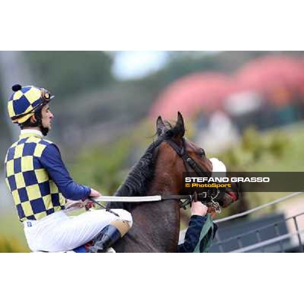 Fabio Branca and Celticus after winning the Premio Federico Smith Roma - Capannelle racecourse, 17th march 2013 ph.Stefano Grasso