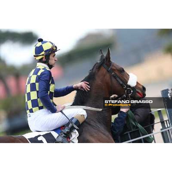Fabio Branca and Celticus after winning the Premio Federico Smith Roma - Capannelle racecourse, 17th march 2013 ph.Stefano Grasso