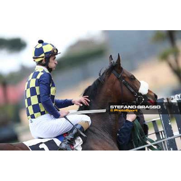 Fabio Branca and Celticus after winning the Premio Federico Smith Roma - Capannelle racecourse, 17th march 2013 ph.Stefano Grasso