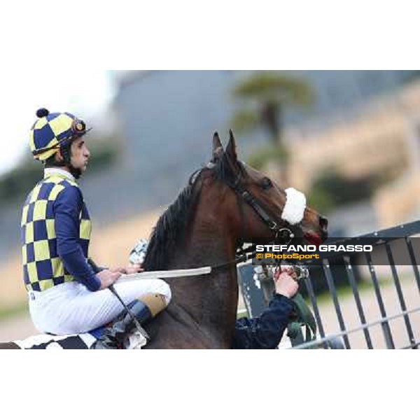 Fabio Branca and Celticus after winning the Premio Federico Smith Roma - Capannelle racecourse, 17th march 2013 ph.Stefano Grasso
