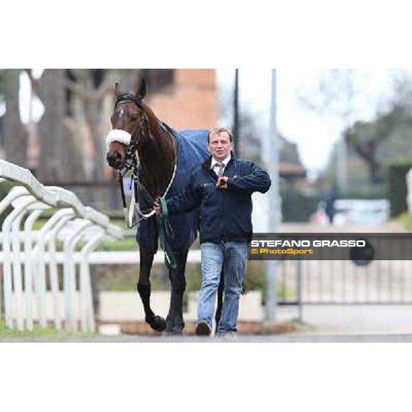 Celticus after winning the Premio Federico Smith Roma - Capannelle racecourse, 17th march 2013 ph.Stefano Grasso