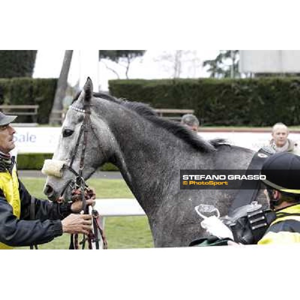 Chiara Wells after winning the Premio Don II Roma - Capannelle racecourse, 17th march 2013 ph.Stefano Grasso
