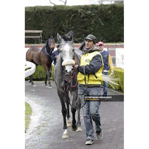 Chiara Wells after winning the Premio Don II Roma - Capannelle racecourse, 17th march 2013 ph.Stefano Grasso