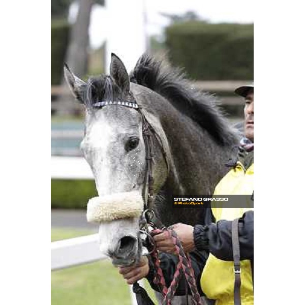 Chiara Wells after winning the Premio Don II Roma - Capannelle racecourse, 17th march 2013 ph.Stefano Grasso