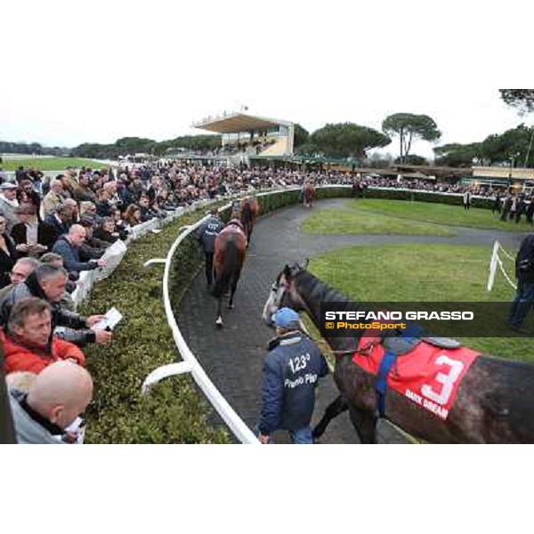 A view of the crowd and the paddock before the 123° Premio Pisa Pisa, San Rossore racecourse,24th march 2013 ph.Stefano Grasso