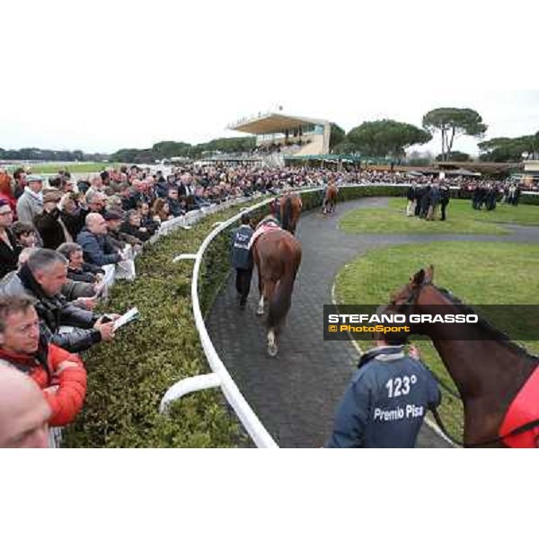 A view of the crowd and the paddock before the 123° Premio Pisa Pisa, San Rossore racecourse,24th march 2013 ph.Stefano Grasso