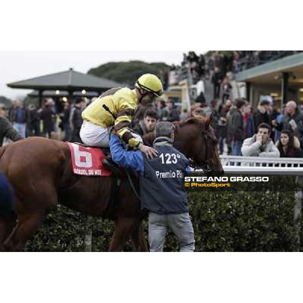 Gabriele Bietolini and Gordol du Mes after winning the 123° Premio Pisa Pisa, San Rossore racecourse,24th march 2013 ph.Stefano Grasso