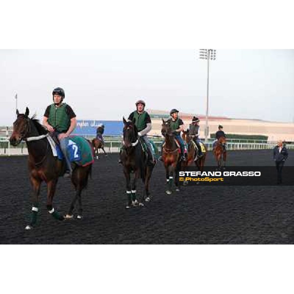 The French connection witth Alain De Royer Dupre morning track works Dubai - Meydan racecourse,27th march 2013 ph.Stefano Grasso